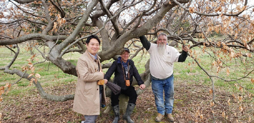 visitors from Tokyo