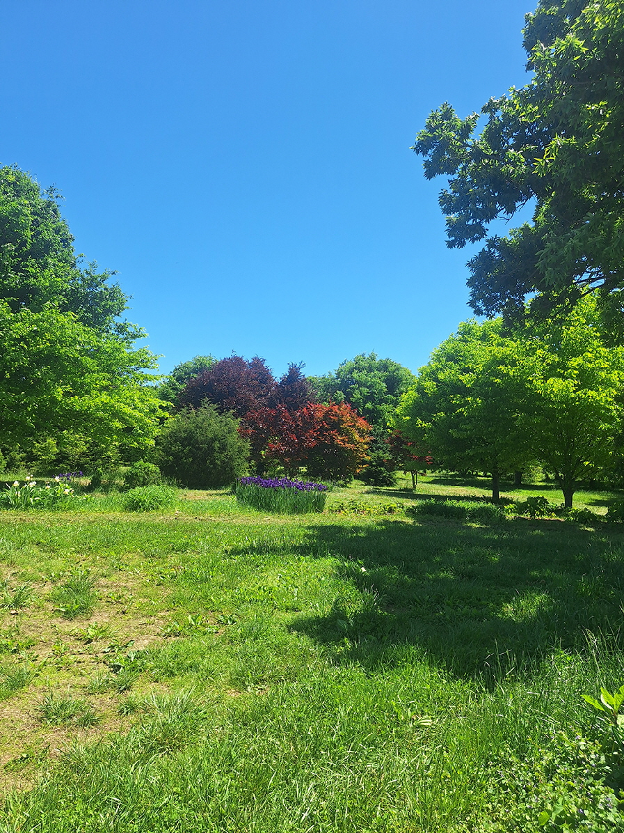 spring 25 a